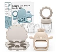 CLDY Mangiatoia per alimenti per frutta per bambini, stampi per ghiaccioli e latte materno, comodo set di mangiatoia per alimenti per bambini, vassoio in silicone per congelatore, contenitori per la