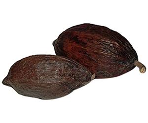 Cleanprince 1 Pezzo Vero Intero Kakaoschote " Grande " Lunghezza circa 14-18 cm, Altezza circa 6-10 cm, Kakaofrucht Kakaobohne Cacao, Essiccato, Appena Essiccato,Marrone Cioccolato,Decorazione