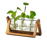 Clear Bloom® | 3 Vasi di Bulbi per Piante Sommerse | Supporto de Vaso in Legno Naturale | Bottiglia di Piscio Inclusa | Idroponica | Regalo Decorativo | Fiore o Pianta Idroponica | OriginalCorner®