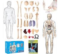 Clear Human Body Structure Model, 29 Piece Anatomy Figure 3D Anatomy Kit with Instruction Guide for Students, Teachers DIY Assembled Human Torso Organ Model
