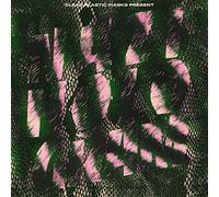 CLEAR PLASTIC MASKS - NAZI HOLOGRAM -DOWNLOAD-