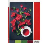 Clementoni 1000Pcs Puzzle Pantone Goji Berry 39494 1 St