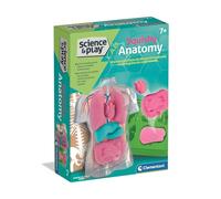 Clementoni- Anatomia Squishy, 75130