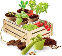Clementoni Galileo Play for Future - My Garden Set, Scatola sperimentale per Fan di Las Plantas, Scienza per la casa, Botanica e biologia per Bambini a Partire da 7 Anni 59207