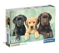 Clementoni - Puzzle 1000 Pezzi per Adulti e Ragazzi, Collection, Tema Tre Labrador, con Poster Incluso, Compact Box, Idea Regalo Uomo e Donna, Made in Italy, 70x50 cm, 39946