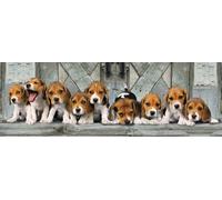 Clementoni - Puzzle Beagle - 1000 Pezzi