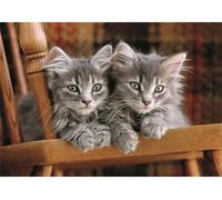 Clementoni - Puzzle Gattini - 500 Pezzi
