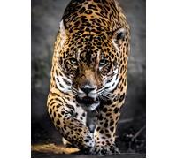 Puzzle 1000 pezzi Jaguar