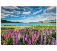 Clementoni - Puzzle 1500 Pezzi per Adulti e Ragazzi, Collection, Tema Lago Tekapo, Idea Regalo Uomo e Donna, Made in Italy, 59,2x84,3 cm, 31728