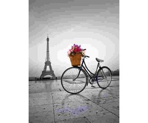 Clementoni - Puzzle Passeggiata romantica a Parigi - 500 Pezzi