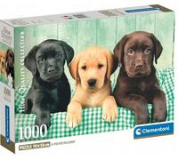 Clementoni - Puzzle 1000 Pezzi per Adulti e Ragazzi, Collection, Tema Tre Labrador, con Poster Incluso, Compact Box, Idea Regalo Uomo e Donna, Made in Italy, 70x50 cm, 39946