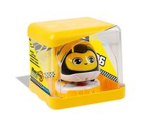 DISPLAY RACING BUGS CLEMENTONI