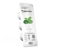 Click & Grow Menta Piperita Capsule di Ricambio, Confezione da 3 | Smart Soil Brevettato. Capsule pronte all'uso. Semi e nutrienti già integrati. Crescita rapida