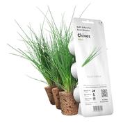 Click & Grow, Ricambio Vasi di Terriccio di Erba Cipollina, Confezione con 3 Capsule