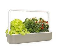 Click & Grow Smart Garden, Orto da Interno con 9 Capsule di Terreno, Illuminazione e Irrigazione Automatica, più Facile della Coltivazione Idroponica