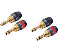 Clicktronic 52546 Spina a banana casual SimpleLock, scatola sospesa NEW