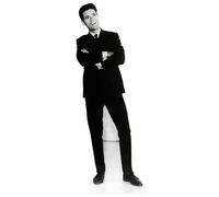 Cliff Richard CARTONATO A DIMENSIONE REALE STANDEE STANDUP Classic Rock And Roll