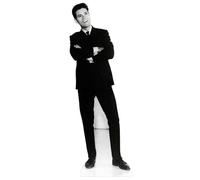 Cliff Richard CARTONATO A DIMENSIONE REALE STANDEE STANDUP Classic Rock And Roll