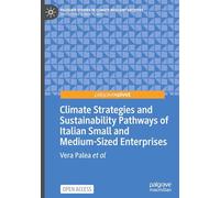 Climate Strategies and Sustainability Pathways of Italian Small and Medium-Sized Enterprises: Climate Strategies and their Determinants among Italian firms