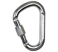 Climbing Technology Snappy SG 2C45900XTBCTSTD Moschettone, Lucido, Taglia Unica