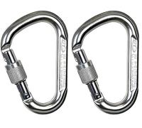Climbing Technology Snappy SG 2C45900XTBCTSTD Moschettone, Lucido, Taglia Unica (Confezione da 2)