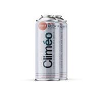 Climéo 400 ml - Sostituzione ecologica per il refrigerante R1234yf 2 in 1, 3 in 1 | Manutenzione dell'aria condizionata diretta (2 lattine, 3 in 1)