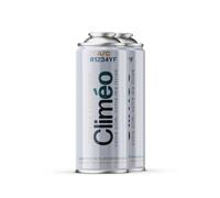 Climéo 400 ml - Sostituzione ecologica per il refrigerante R1234yf 2 in 1, 3 in 1 | Manutenzione dell'aria condizionata diretta (2 lattine, 2 in 1)