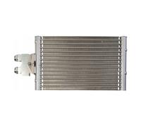 CLIMTEX CH8-054 Radiatore olio, Cambio automatico