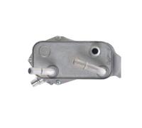 CLIMTEX CH8-295 Radiatore olio, Cambio automatico