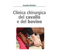 Clinica chirurgica del cavallo e del bovino