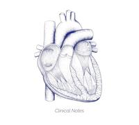 Clinical Rotation Journal for Medical & Nursing Students: Anatomical Heart Pocket Notebook for Patient Logs, Clinical Pearls, and Ward Essentials (6x9 Portable Size)