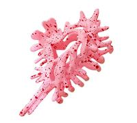 Clip À Griffe De Conque, Clips De Griffe, Coiffure CLLAW | Accessoire Cheveux Créatif | Courbe Fluid, Ce Clip À Pour Le Mariage Les Vacances, Sport, Sport, La Fête, La Mâchoire Pour