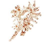 Clip À Griffe De Conque, Clips De Griffe, Coiffure CLLAW | Accessoire De Cheveux Créatif | De Courbe Fluide, Ce Clip À Pour Le Mariage Les Vacances, Sport, Sport, La Fête, La Mâchoire Pour