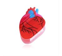 Clip anatomica per capelli a forma di cuore per infermiera, regalo di apprezzamento di compleanno, per infermieri, dottori, pensionamento, regali di ringraziamento per donne, acetato, accessori per