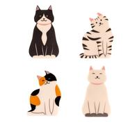Clip Kitty Bag