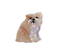 Clip per cani, fermagli per capelli in cellulosa, piccole clip per donne (britannici)