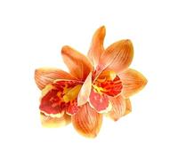 Clip per Capelli Clip Orchidea Antiscivolo in Resina Stile Hawaiano
