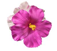 Clip per capelli da spiaggia ibisco clip per capelli alla moda elegante ornamento titolare ibisco clip barrettes Hair Styling Tool Ornam Donna Hawaiian Flower Hair Clip