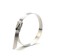 Clip per cavi solari Universale 4,6 * 300mm autobloccante SS304. Cravatta per cavi per sistema di alimentazione solare(400 pieces)