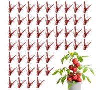 Clip per innesto per pomodori, confezione da 50 pezzi, gancio di collegamento per verdure, anguria, attrezzi da giardinaggio