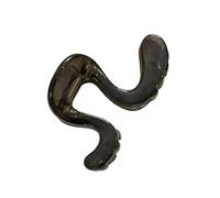 Clip sicura per coda di cavallo, nero trasparente | Profilo curvo, denti interni, cerniera a molla, controllo sicuro per scuola, viaggi, acconciature quotidiane