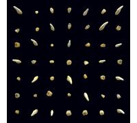clipping. Visions of Bodies Being Burned (Vinyl LP) 12" Album