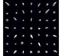 clipping. Visions of Bodies Being Burned (CD) Album