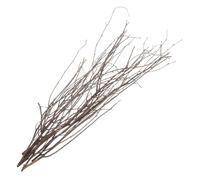 CLISPEED 10 pezzi Secchi Naturali per Decorazioni Casa e Ufficio per Composizioni Floreali e Centrotavola