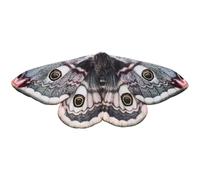 CLISPEED Accessorio Cosplay Ala da Fata per Non Tessuto Leggero Cinghie, Decorazione per Feste a Tema, Halloween e Spettacoli Teatrali