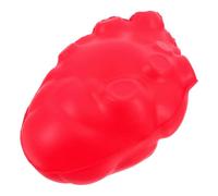 CLISPEED Di Organo Umano Parti Del Corpo Cuori Simulati Per L'Insegnamento Modelli Anatomici Simulazione Di Organi Umani Modelli Di Cuore Finto Di Apprendimento