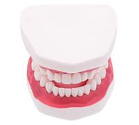 CLISPEED E Per La Formazione Insegnamento Studenti Finti Denti Con Bocca Typodont Protesi Dimostrazione Fai Da Te Lingua Dentista Denti Preparazione Ortodontica Realistico