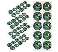 CLISPEED Etichette Adesive per Piante Impermeabili e Resistenti in Pvc 5 Fogli 10 Pezzi, per Coltivazione senza Terreno e Decorazione del Giardino