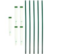 CLISPEED Floreali e Conservazione Fiori per Trasporto Nutrienti 5pezzi in Plastica Verde Riutilizzabili per Giardinaggio e Conservazione Quotidiana