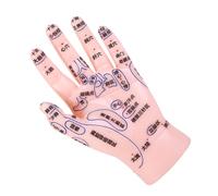 CLISPEED Mano Per Riflessologia Punti Agopuntura Precisi Adatto Per Allenamento e Istruzioni Realizzato in Pvc Resistente Facile Pulire Per Accademie Cinese e Centri Massaggi